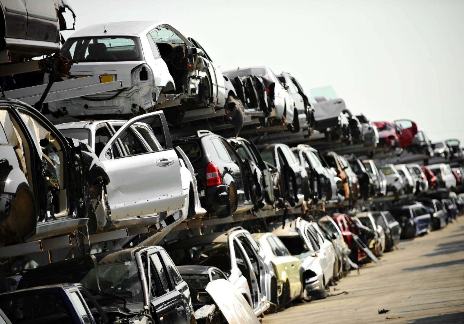 Rows of end-of-life vehicles at an auto recycling yard